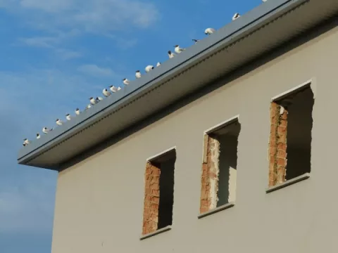 Portal budowlany Cztery Ściany w sierpniu donosi o...