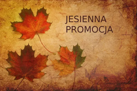 Wrześniowa promocja bram garażowych