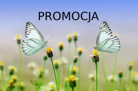 Najnowsza promocja produktów Wiśniowski