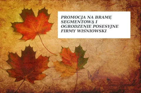 Brama i ogrodzenia Wiśniowski w promocyjnych cenach